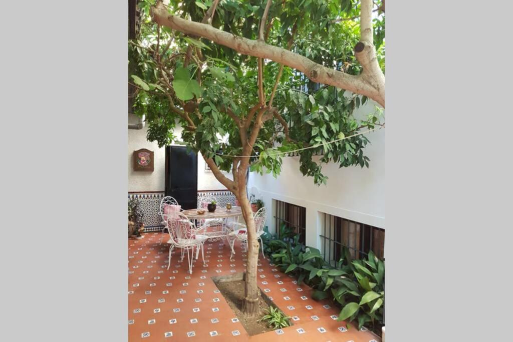 Casa En Granada Con Hermoso Jardin, Parking Calle Exterior photo